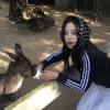 Yangy